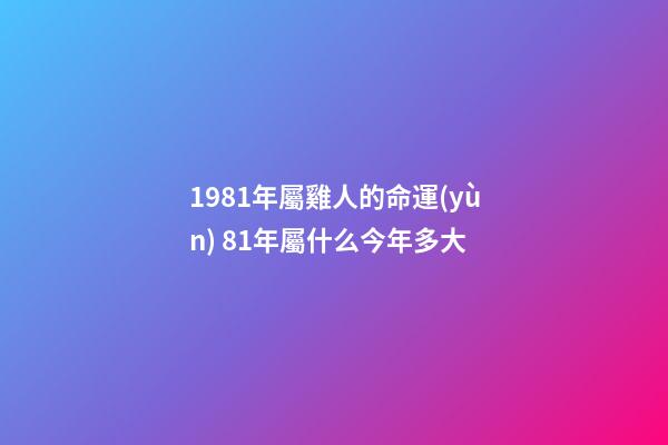 1981年屬雞人的命運(yùn) 81年屬什么今年多大-第1張-觀點(diǎn)-玄機(jī)派